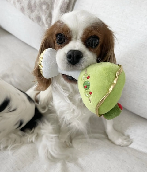 Dirty Muttini Squeaker Dog Toy