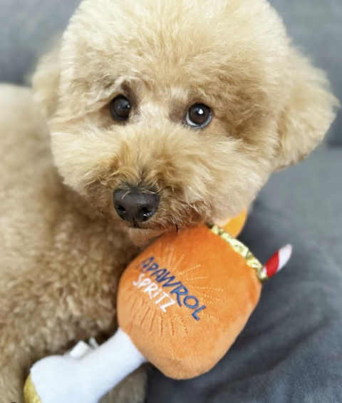 Apawrol Spritz Squeaker Dog Toy