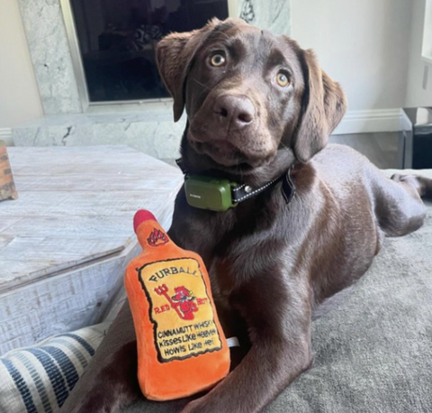 Furball Cinnamutt Whisky Squeaker Dog Toy