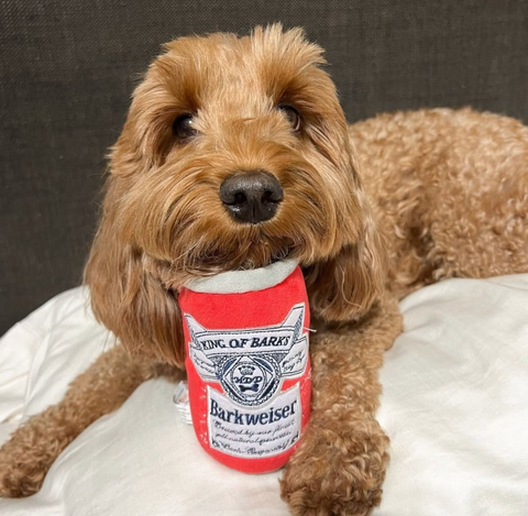 Barkweiser Can Squeaker Dog Toy