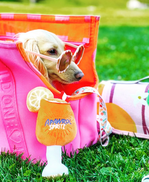 Apawrol Spritz Squeaker Dog Toy