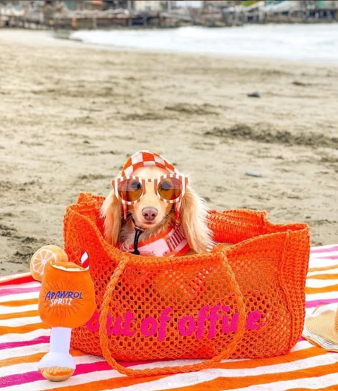 Apawrol Spritz Squeaker Dog Toy