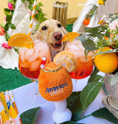 Apawrol Spritz Squeaker Dog Toy