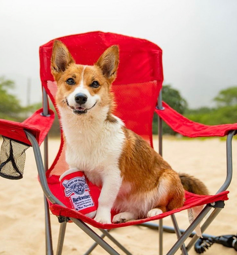 Barkweiser Can Squeaker Dog Toy