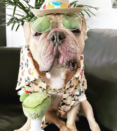 Dirty Muttini Squeaker Dog Toy