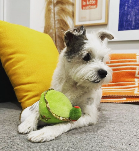 Dirty Muttini Squeaker Dog Toy