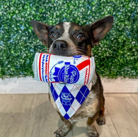 Pups Blue Ribbon Squeaker Dog Toy