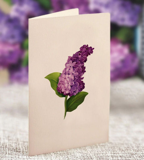 Mini Garden Lilacs Pop-Up Greeting Card, 5.25"x6"