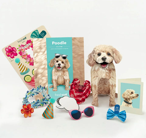 Poodle Pop-Up Greeting Card, 10.25"x7.75"