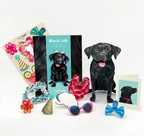 Black Lab Pop-Up Greeting Card, 10.25"x7.75"