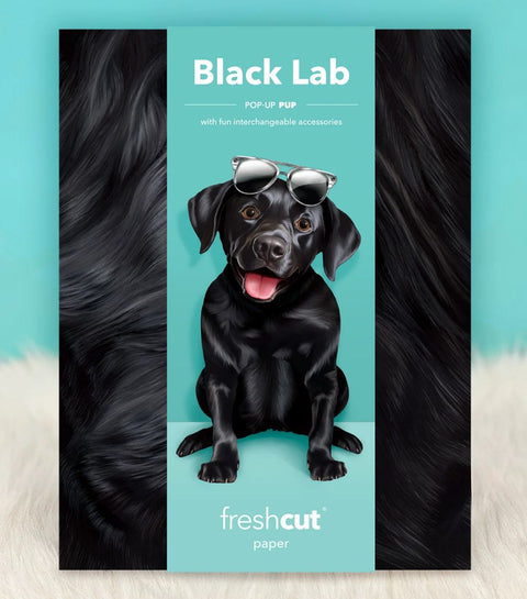 Black Lab Pop-Up Greeting Card, 10.25"x7.75"