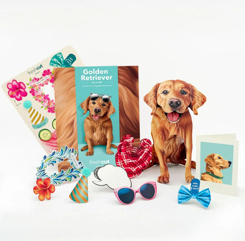 Golden Retriever Pop-Up Greeting Card, 10.25"x7.75"