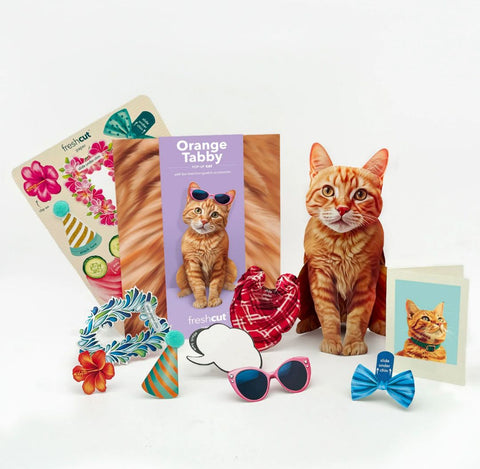 Orange Tabby Pop-Up Greeting Card, 10.25"x7.75"