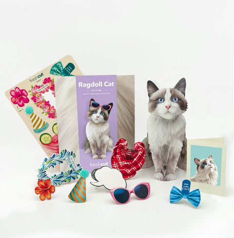 Ragdoll Cat Pop-Up Greeting Card, 10.25"x7.75"