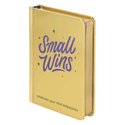 Small Wins