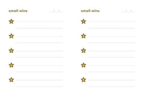 Small Wins
