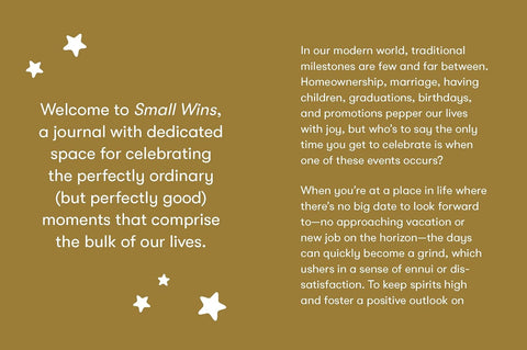 Small Wins