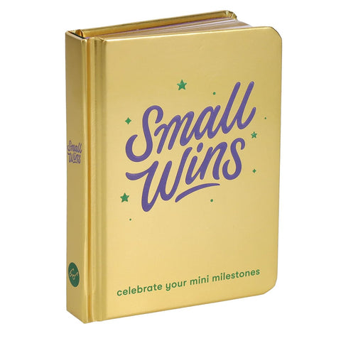 Small Wins