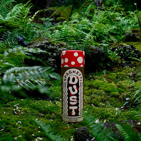Spaghetti Dust - Porcini Mushroom Seasoning