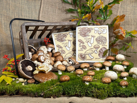 Swedish Dish Cloth - Mushroom Medley