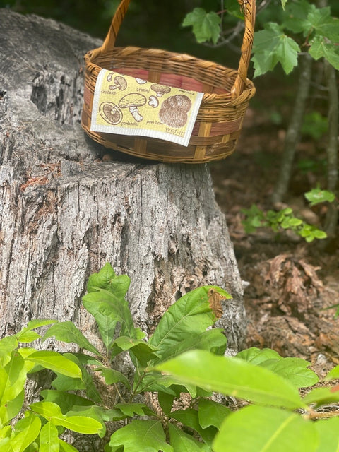 Swedish Dish Cloth - Mushroom Medley