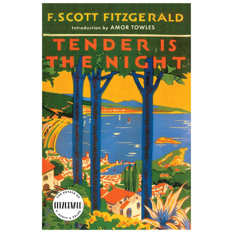 Tender Is The Night by Scott F. Fitzgerald