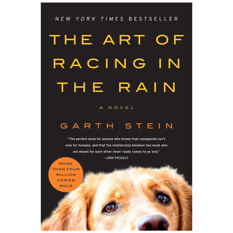 The Art Of Racing In The Rain by Garth Stein