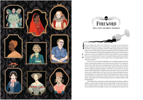 The League Of Lady Poisoners by Lisa Perrin