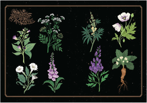 The League Of Lady Poisoners by Lisa Perrin