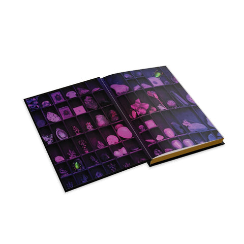 The Lost Apothecary, Collector's Edition by Sarah Penner