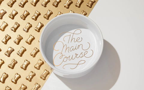 The Main Course Pet Food Bowl - Brass Monkey