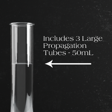 Dynamic Propagation Station