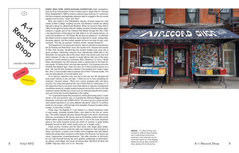 VINYL NYC: 33 1/3 of the Best Record Stores Across All Five Boroughs by James Murray, Karla Murray, Hattie Lindert