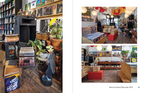 VINYL NYC: 33 1/3 of the Best Record Stores Across All Five Boroughs by James Murray, Karla Murray, Hattie Lindert