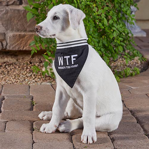 WTF - Pet Bandana