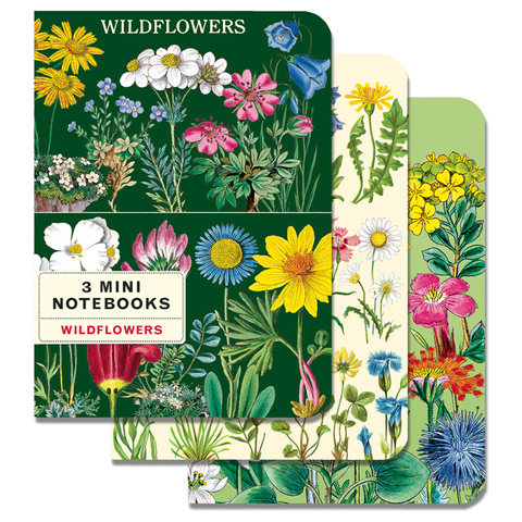 Wildflowers Mini Notebook Set - Cavallini
