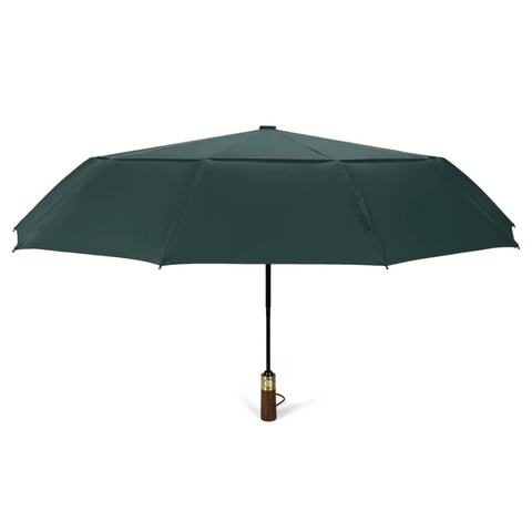 Windproof Travel Umbrella - Green