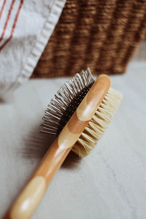 Dog Brush - Zefiro
