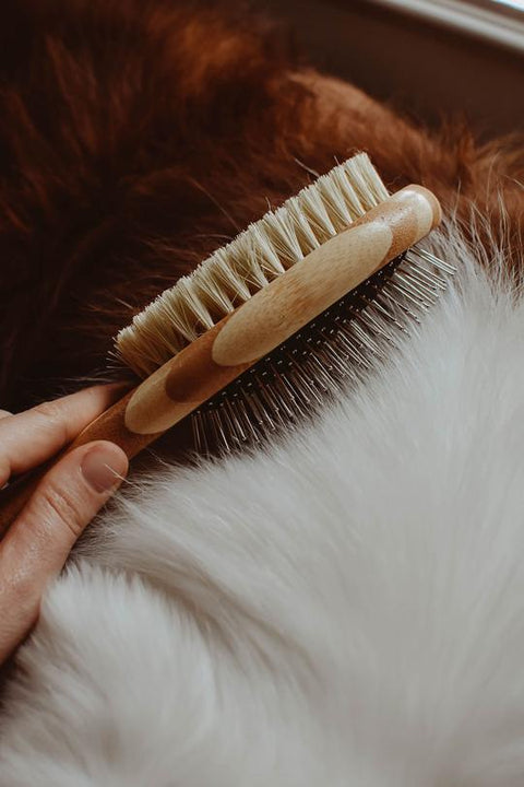 Dog Brush - Zefiro