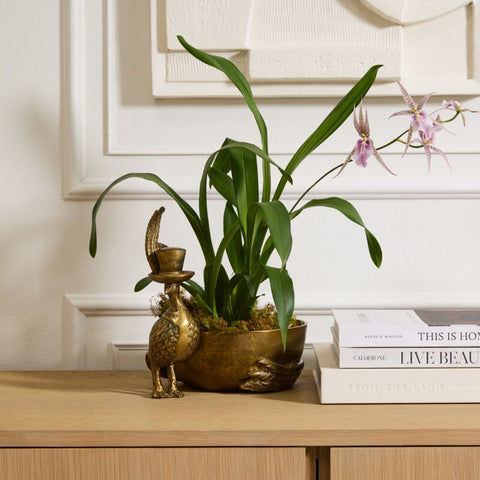 Decorative plant in a gold pot on a wooden surface with books and a framed picture in the background.