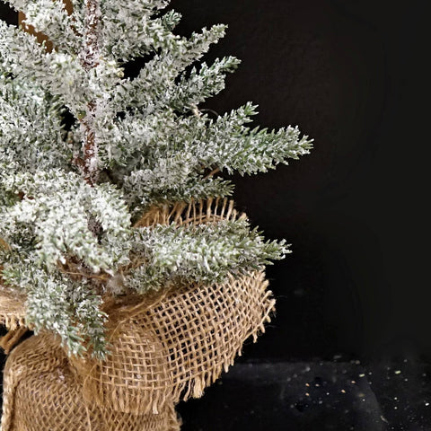 Snowy Blue Cypress Pine Tree - 16"