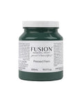 Pressed Fern Fusion Mineral Paint