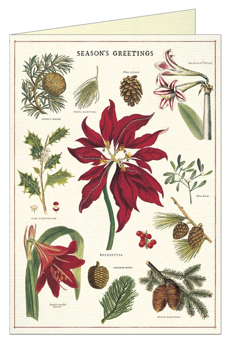 Cavallini Christmas Botanica Greeting Card