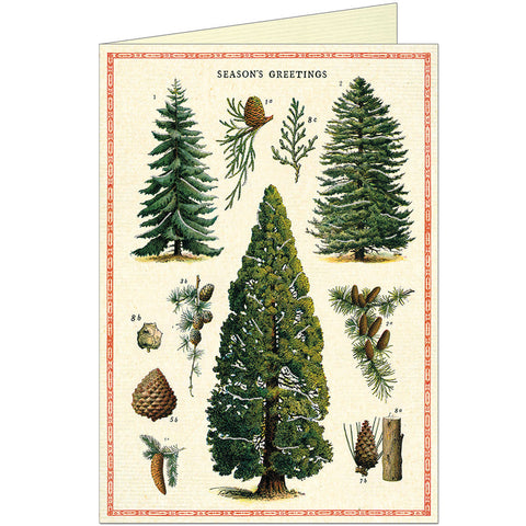 Cavallini Christmas Trees Greeting Card