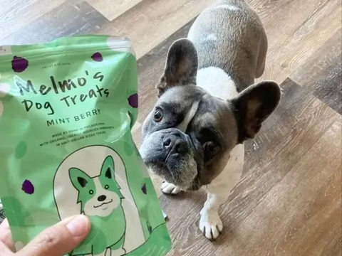 Mint Berry Organic Dog Biscuits - Melmo's Dog Treats