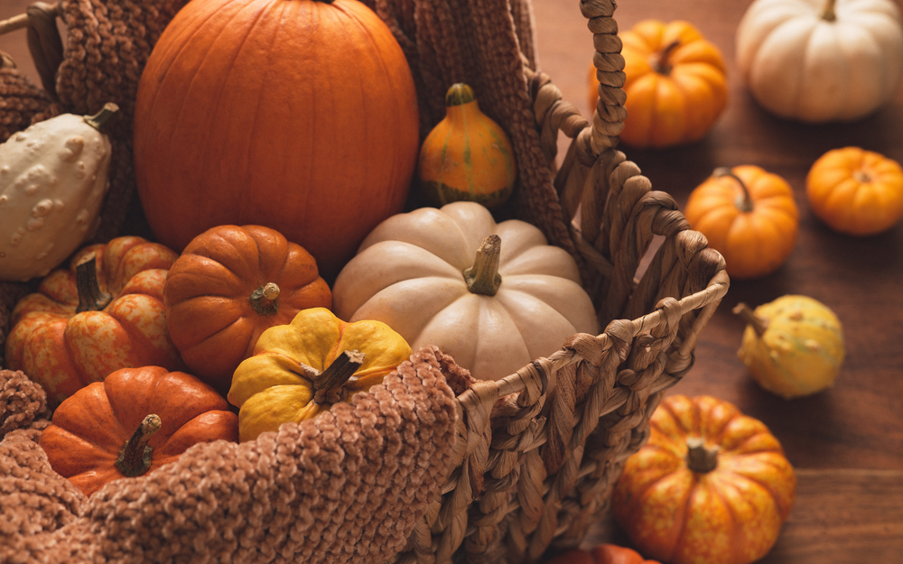Dip Into Pumpkin Season