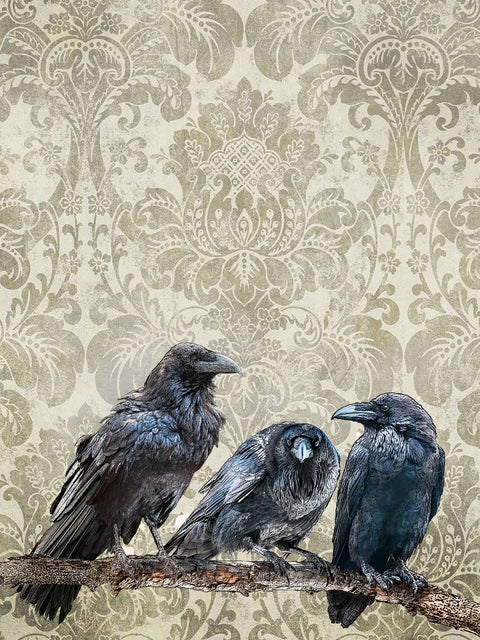 ravens, 18 x 24 inches kitchen towel