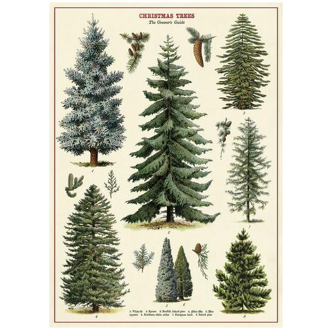 Cavallini Christmas Trees Poster