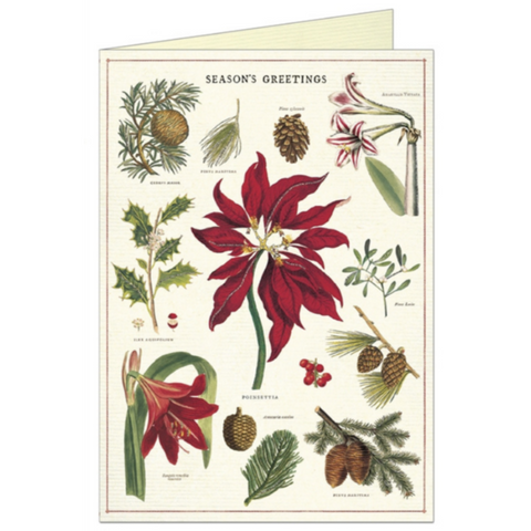 Cavallini Christmas Botanica Greeting Card