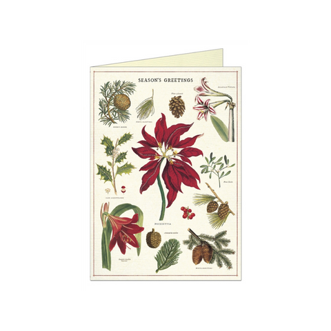 Cavallini Christmas Botanica Greeting Card